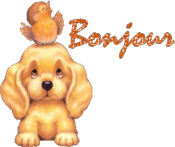 Gif bonjour chien